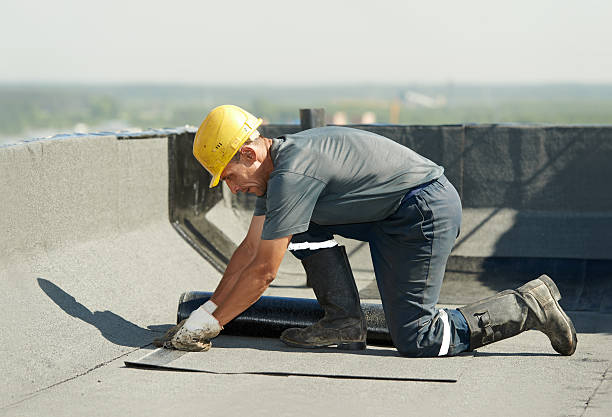 Best Eco-Friendly Insulation in Mississippi State, MS
