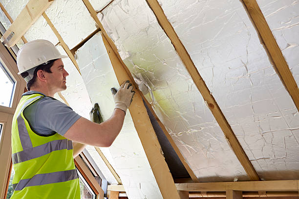 Best DIY Insulation Kits and Guidance in Mississippi State, MS